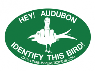 You Asked; Birders Answered You Asked; Birders Answered